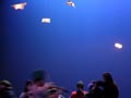 DSCN6719.jpg