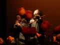 DSCN8085.jpg